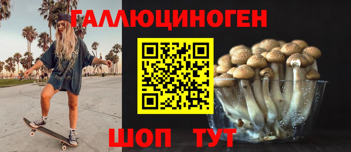 Псилоцибиновые грибы мицелий  сколько стоит  Бутурлиновка  Вход с VPN 